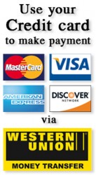 Use your Credit Card to make payment