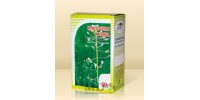 Herba Bursae pastoris 50g